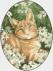 Ginger cat cross stitch by John Stubbs