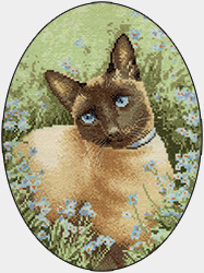 Cross stitch Siamese cat