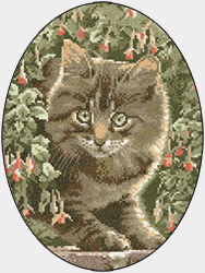 Tabby Kitten cross stitch by John Stubbs