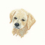 Cross stitch Golden Labrador puppy
