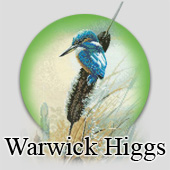 Cross stitch birds by Warwick Higgs